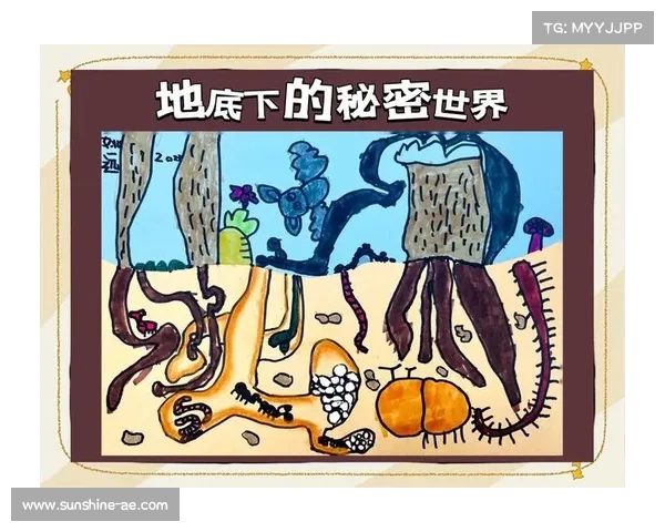 揭开精灵传说五大秘密探索神秘世界的奇幻与未解之谜 揭开精灵传说五大秘密探索神秘世界的奇幻与未解之谜