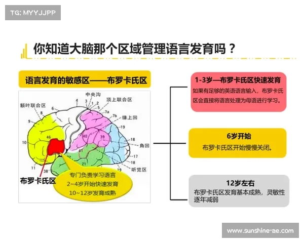 如何系统学习巴舒亚伊的母语知识并有效提高语言能力 如何系统学习巴舒亚伊的母语知识并有效提高语言能力